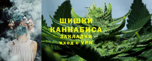 шишки Балахна